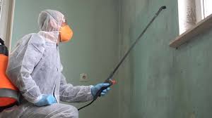 Why You Should Choose Our Mold Remediation Services in Medical Lake, WA