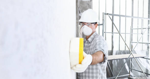 Professional Mold Removal Services in Medical Lake, WA