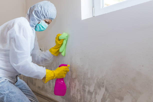 Best Industrial Mold Remediation  in Medical Lake, WA