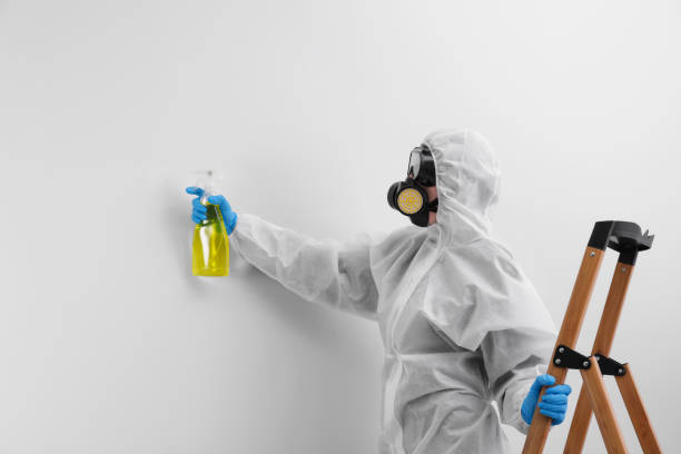 Best Commercial Mold Inspection  in Medical Lake, WA